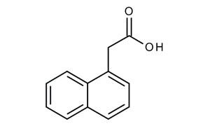 1-NAPHTHYL ACETIC ACID (NAA) (FOR BIOCHEMISTRY)