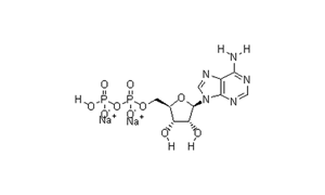 ADENOSINE-5-DIPHOSPHORIC ACID DI SODIUM SALT (FOR BIOCHEMISTRY) (A.D.P.)