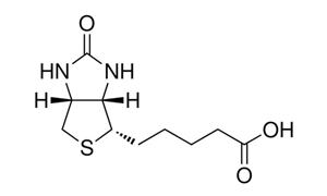 D-BIOTIN (FOR BIOCHEMISTRY)