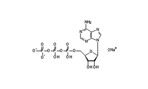 ADENOSINE-5-TRIPHOSPHORIC ACID DISODIUM SALT (FOR BIOCHEMISTRY) (A.T.P.)