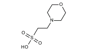 MES BUFFER (BIOLOGICAL BUFFER) 