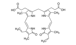 BILIRUBIN AR