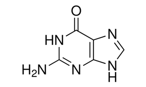 GUANINE (FOR BIOCHEMISTRY)