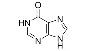 HYPOXANTHINE (FOR BIOCHEMSITRY) (6-HYDROXYPURINE)