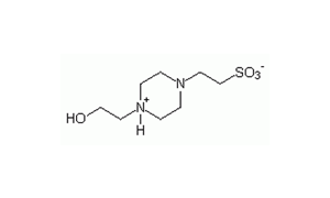 HEPES (BIOLOGICAL BUFFER)