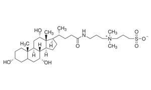 CHAPS (FOR BIOCHEMISTRY)